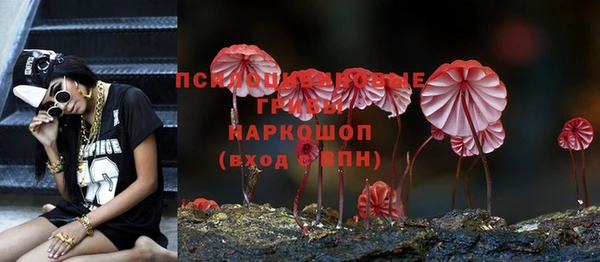 spice Балабаново