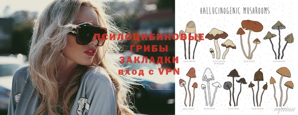 MDMA Белокуриха