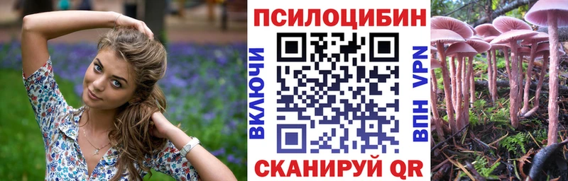 даркнет сайт Морозовск Псилоцибиновые грибы мицелий